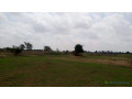 terrain-de-1200-metres-carres-a-mbour-senegal-small-1