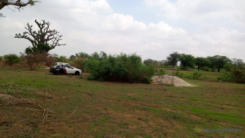 terrain-de-1200-metres-carres-a-mbour-senegal-big-0