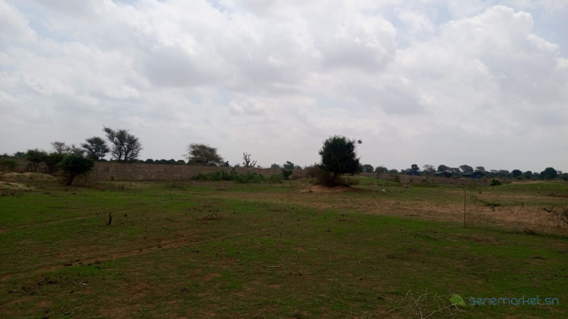 terrain-de-1200-metres-carres-a-mbour-senegal-big-1