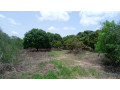 terrain-de-1-hectare-a-vendre-a-mbour-senegal-small-3