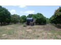 terrain-de-1-hectare-a-vendre-a-mbour-senegal-small-4