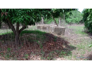 Terrain de 1 hectare à vendre à Mbour Sénégal