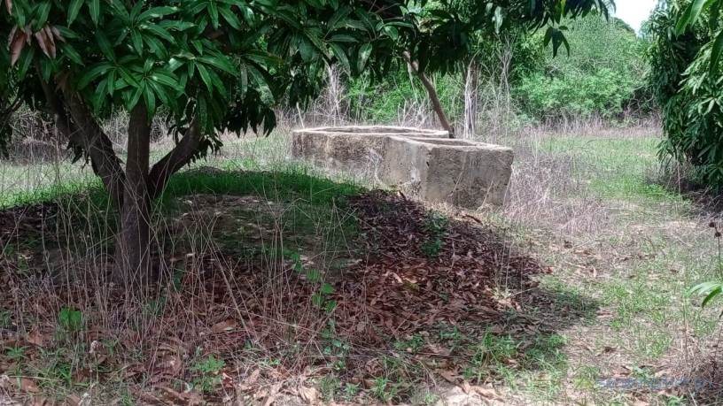 terrain-de-1-hectare-a-vendre-a-mbour-senegal-big-0
