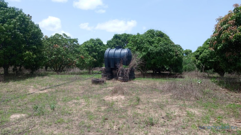 terrain-de-1-hectare-a-vendre-a-mbour-senegal-big-4