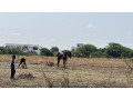 terrain-de-600m2-a-somone-senegal-small-2