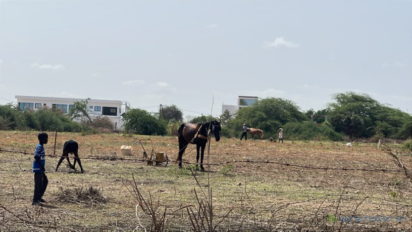 terrain-de-600m2-a-somone-senegal-big-2