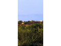 terrain-a-vendre-yenne-kandam-small-0