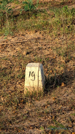 terrain-a-vendre-yenne-kandam-big-1