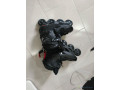 roller-en-ligne-small-0