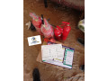 equipements-de-securite-incendie-small-0
