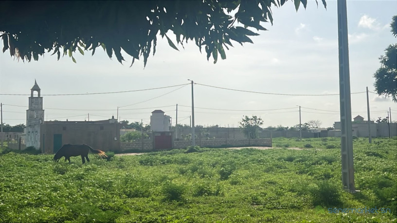 terrain-de-225m2-a-vendre-a-keur-youngar-sn-big-1