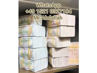 Investor seeking investment opportunities