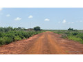 terrains-de-225m2-a-vendre-a-kiniabour-sn-small-2
