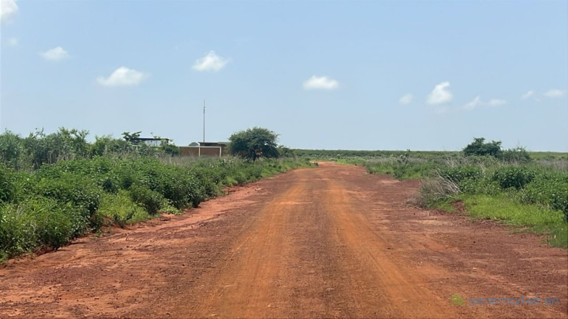 terrains-de-225m2-a-vendre-a-kiniabour-sn-big-2