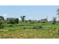 terrain-de-450-m2-a-vendre-a-kiniabour-senegal-small-0