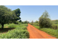 terrain-de-450-m2-a-vendre-a-kiniabour-senegal-small-2