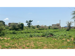 Terrain de 450 m2 à Vendre à Kiniabour Sénégal