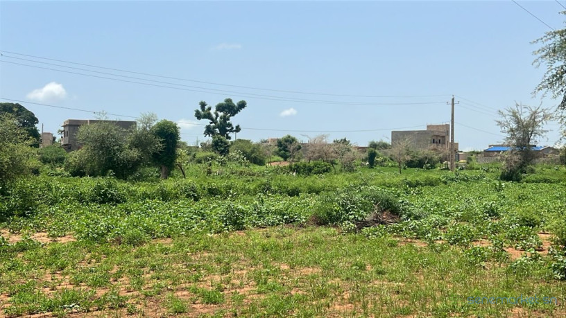 terrain-de-450-m2-a-vendre-a-kiniabour-senegal-big-0