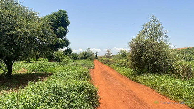 terrain-de-450-m2-a-vendre-a-kiniabour-senegal-big-2