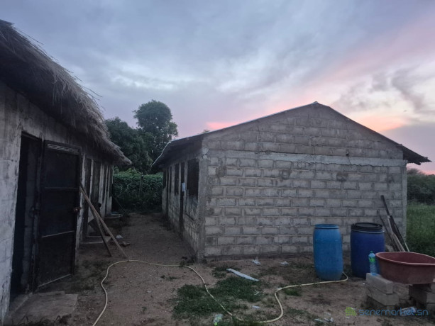 terrain-agricole-a-vendre-a-mbissel-senegal-big-4