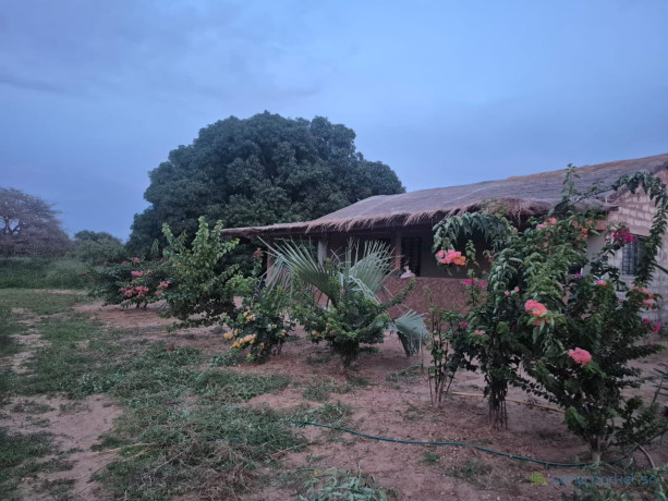 terrain-agricole-a-vendre-a-mbissel-senegal-big-1