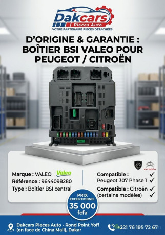 peugeot-citroen-bsi-valeo-big-0