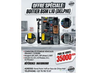 Peugeot Citroen boitier BSM L10