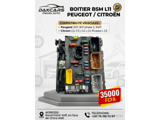 Peugeot Citroen boitier BSM 11