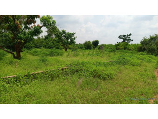 Terrain de 450m2 à vendre à Sindia Sénégal
