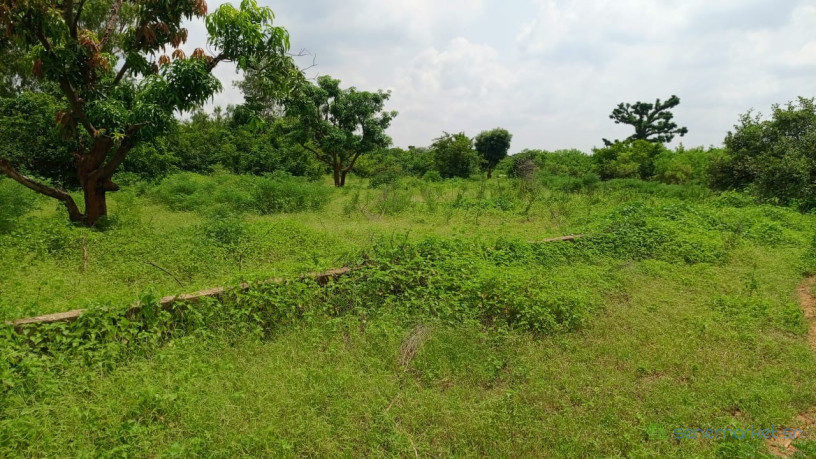 terrain-de-450m2-a-vendre-a-sindia-senegal-big-0