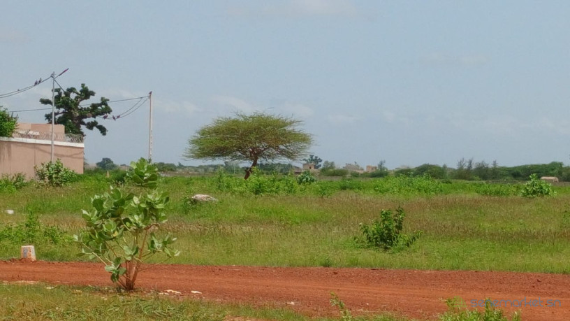 terrain-de-600m2-a-vendre-a-saly-joseph-senegal-big-3