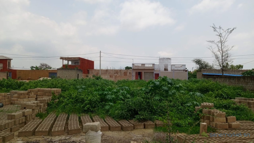 terrain-de-600m2-a-gandigal-senegal-big-2