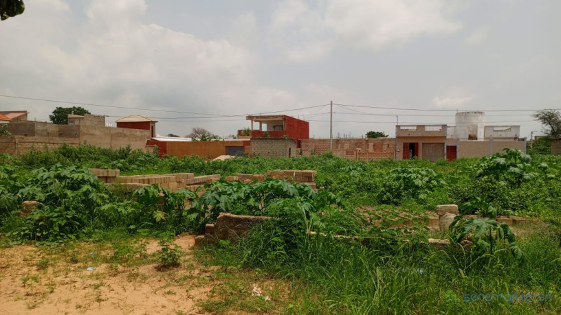 terrain-de-600m2-a-gandigal-senegal-big-0