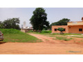 terrains-de-250-m2-a-vendre-a-malicounda-small-2