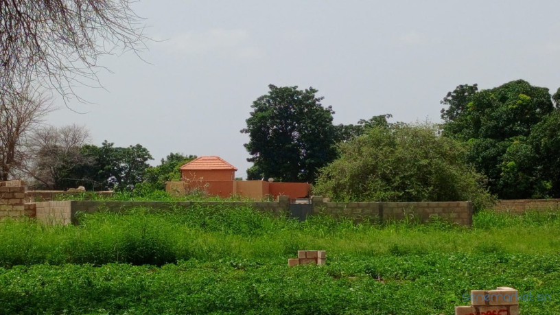 terrains-de-250-m2-a-vendre-a-malicounda-big-0