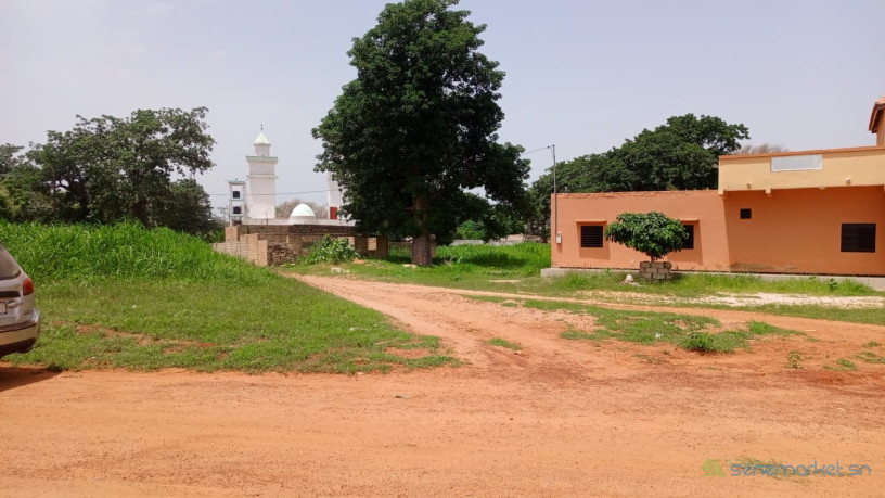 terrains-de-250-m2-a-vendre-a-malicounda-big-2