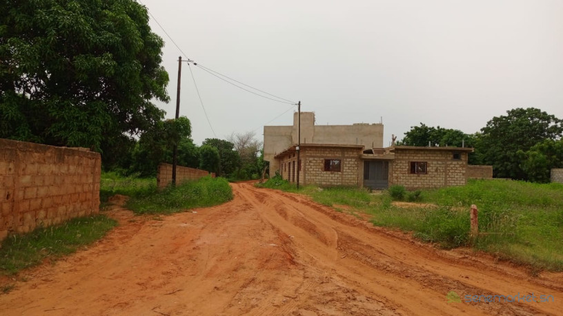 terrains-de-300m2-a-saly-joseph-sn-big-0