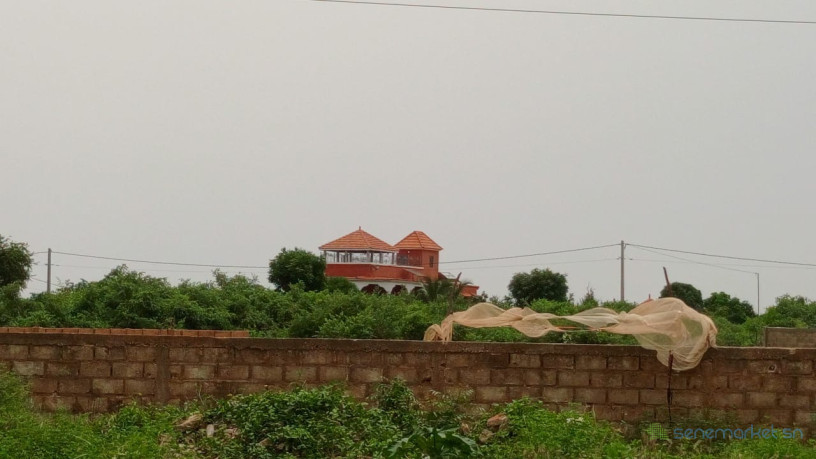 terrains-de-300m2-a-saly-joseph-sn-big-2