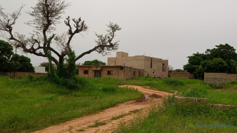 terrains-de-300m2-a-saly-joseph-sn-big-3