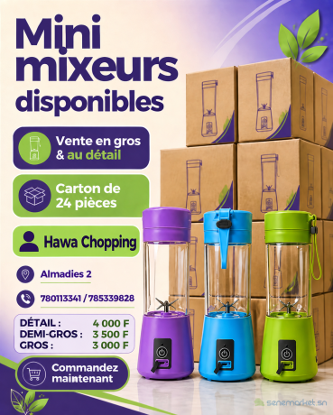 mini-mixeurs-portable-big-0