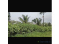 champ-de-1-hectare-a-vendre-a-ndianda-sn-small-0