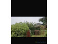 champ-de-1-hectare-a-vendre-a-ndianda-sn-small-1