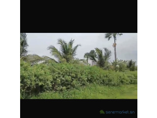 Champ de 1 hectare à vendre à Ndianda Sn