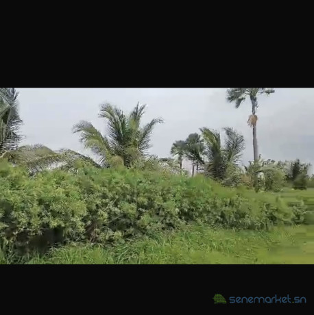 champ-de-1-hectare-a-vendre-a-ndianda-sn-big-0