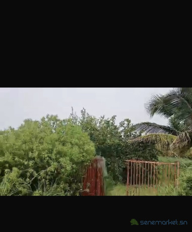 champ-de-1-hectare-a-vendre-a-ndianda-sn-big-1