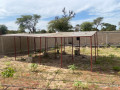 terrain-agricole-de-1-hectare-a-vendre-a-notto-sn-small-2