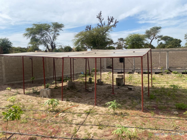 terrain-agricole-de-1-hectare-a-vendre-a-notto-sn-big-2