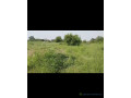 champ-de-4-hectares-a-vendre-a-ndofane-senegal-small-3