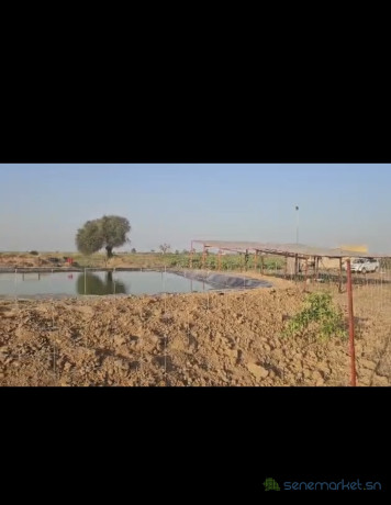 terrain-de-6-hectares-a-vendre-a-tassette-sn-big-0