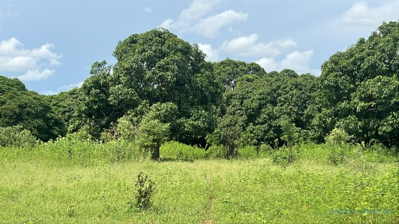 lot-de-225-metres-carres-a-vendre-a-tene-toubab-sn-big-2
